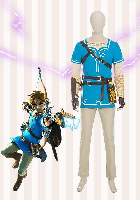 The Legend Of Zelda Link Blue Champion's Tunic Suit Cosplay Costume 