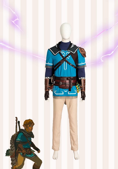 The Legend of Zelda: Tears of the Kingdom Link Cosplay Costume 