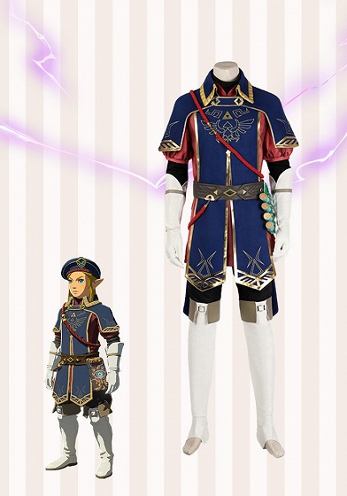 The Legend of Zelda: Tears of the Kingdom Link Royal Guard Uniform Cosplay Costume