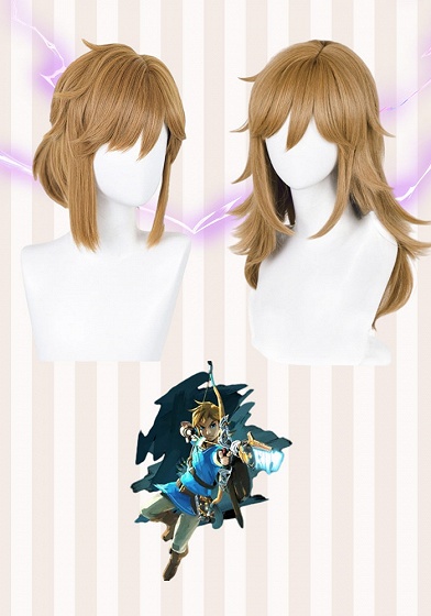 The Legend of Zelda: Breath of the Wild  Link Brown Cosplay Wig