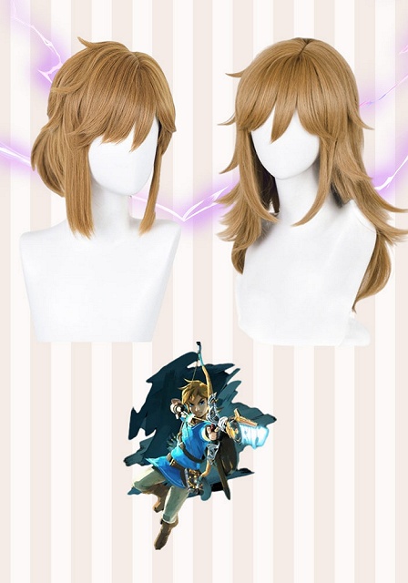 The Legend of Zelda: Breath of the Wild  Link Brown Cosplay Wig