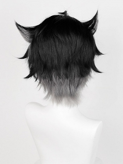 Genshin Impact Wriothesley Black to Grey Ombre Cosplay Wig