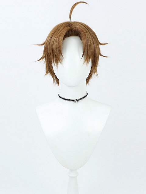 Mushoku Tensei: Jobless Reincarnation Rudeus Greyrat Brown Cosplay Wig