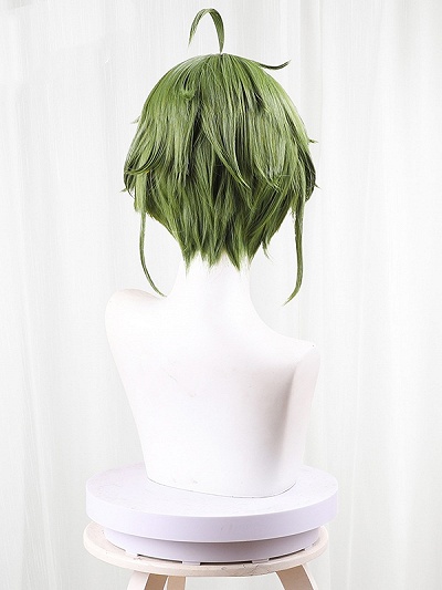 Mushoku Tensei: Jobless Reincarnation Sylphiette Green Cosplay Wig